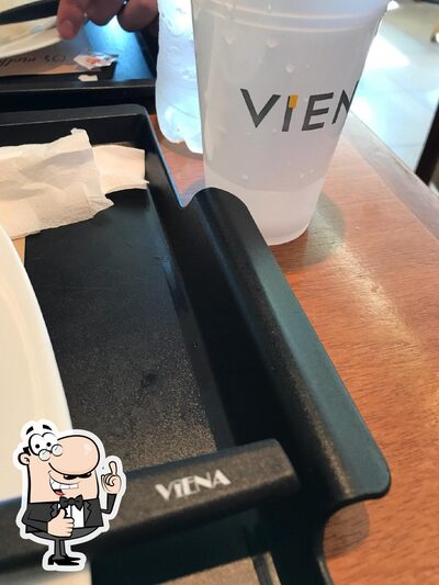 Viena foto