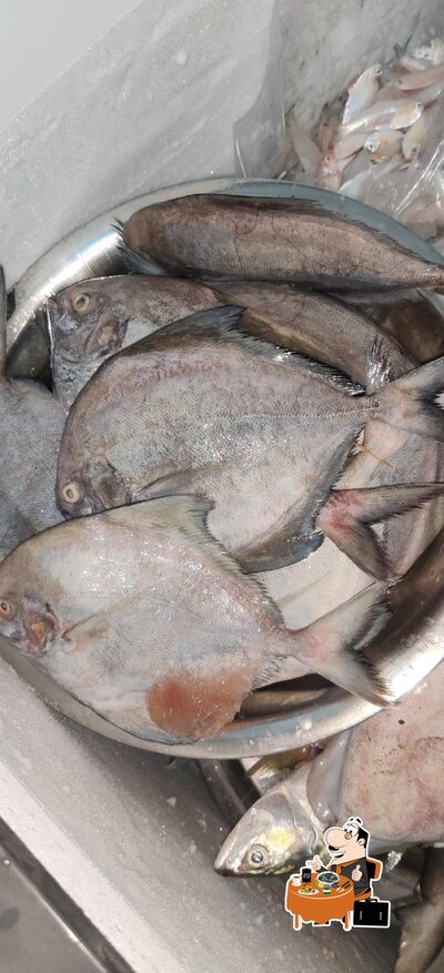 Fish Andhra - Lounge photo