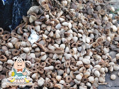 Peça frutos do mar no rodoviaria Cachoeira