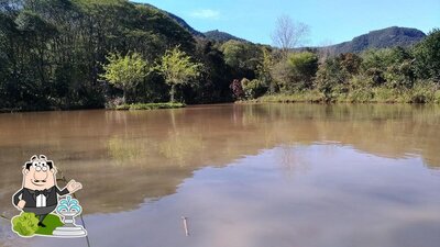 Desfrute da vista da área externa do Picada Roos