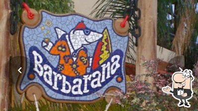 Pousada Barbatana foto