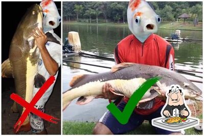 Há uma escolha de refeições de peixe