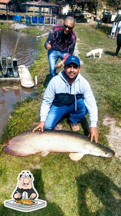 Há uma seleção de pratos de peixe