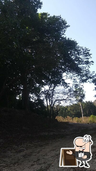 Você pode espairecer no exterior Flutuante do Bisteca