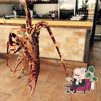 Dai un'occhiata agli interni di Konoba Premuda Premuda