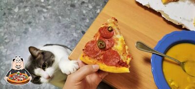 A Domino's Pizza, vous pouvez profiter des pizzas
