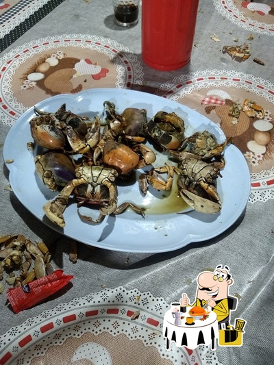 Comida em puleiro do biro