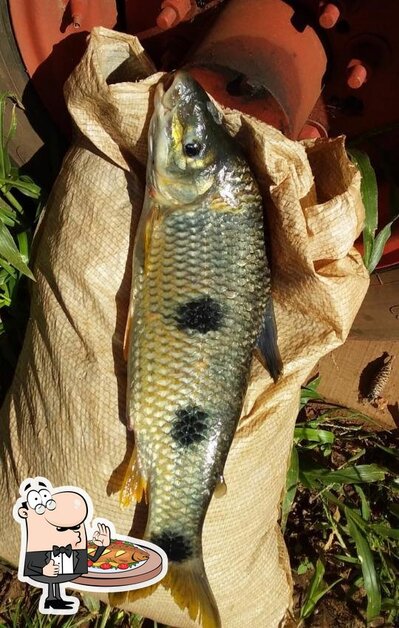 Experimente pratos de peixe no Bodegão do Passo