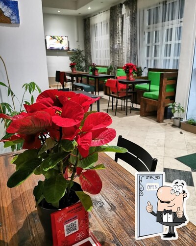 photo de Snack bar *GREEN RUSH*