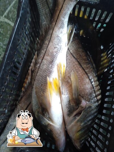 Experimente refeições de peixe no Lanchonete E Restaurante Sol E Mar Ariri