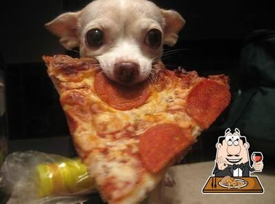 Escolha diferentes variedades de pizza
