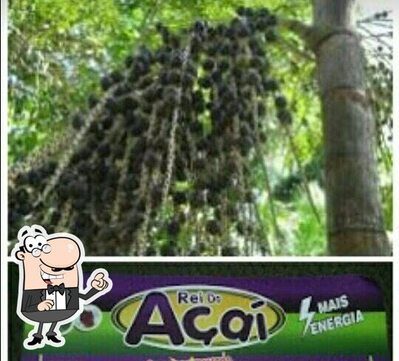 Desfrute da vista do exterior Rei Do Açai
