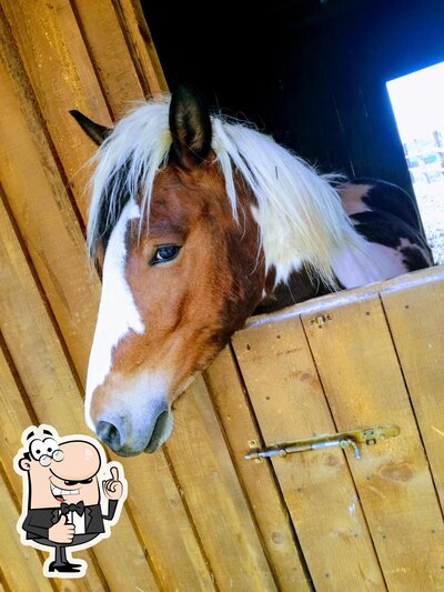 photo de Nora's Ranch