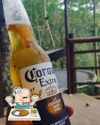 Comida em Bar na Árvore