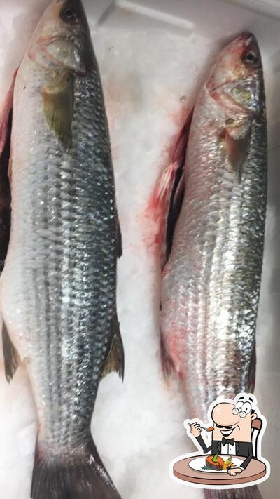 Prenez des plats à base de poisson à Spodsbjerg Kutterfisk
