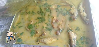 Meals at SONA HOTEL