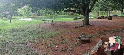 Veja imagens do interior do Pesque pague cachoeirinha