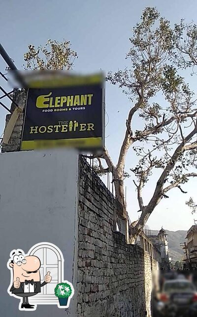 Enjoy the view outside Elephant