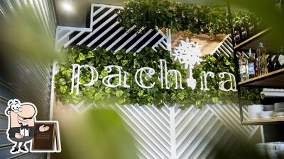 Pachira Bar