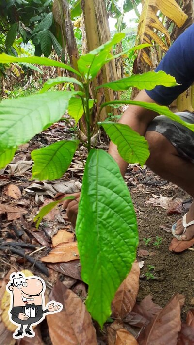 Restaurante nossa casa BR101 KM308 foto