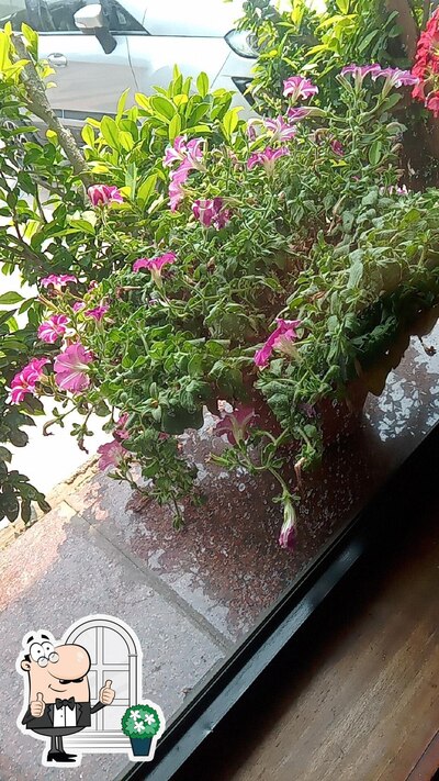 Check out how Samarat Restaurant at Chanakya Patna looks outside
