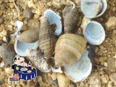 The visitors of FL Off Shop can get various seafood meals