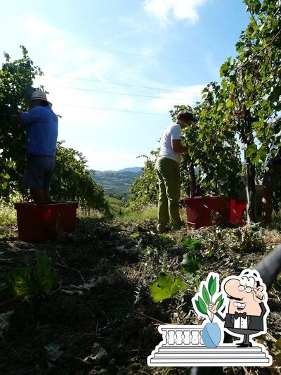 L'extérieur de Azienda Agricola Savini