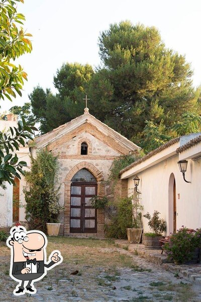 Gli esterni costituiscono una caratteristica importante di Dattilo