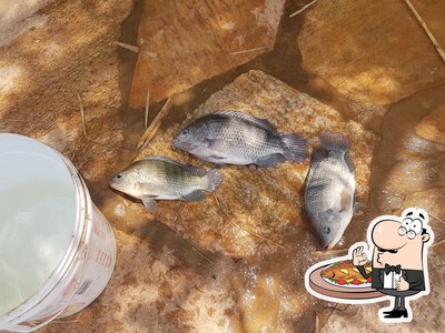 Há uma seleção de refeições de peixe