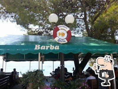 barba foto
