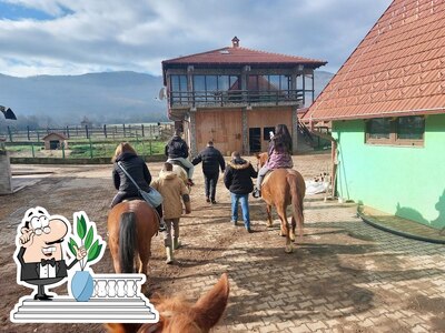 Jetez un coup d’œil à quoi ressemble Nora's Ranch à l'extérieur