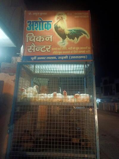 Read the information about Chicken shop