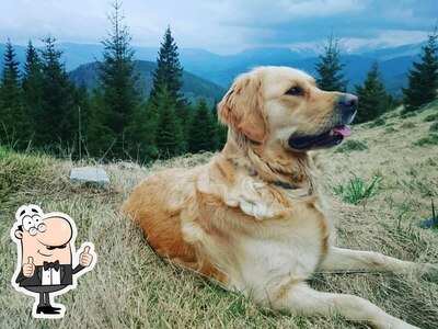 photo de Valea Mariei