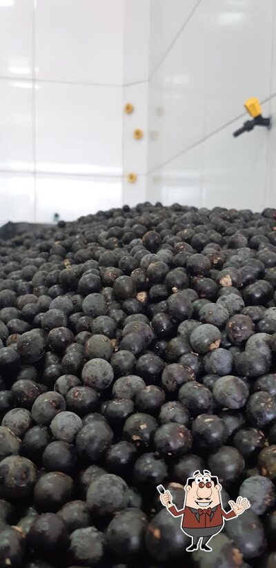 Platos en Açaí DuElvis