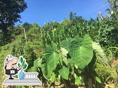 Gli esterni di Eventocaffe' Mesola