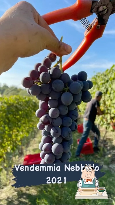 Az. Agr. Alle Tre Colline di Carossa Franco foto