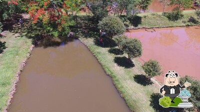 Você pode espairecer no na área externa do Pesqueiro Quatro Lagoas