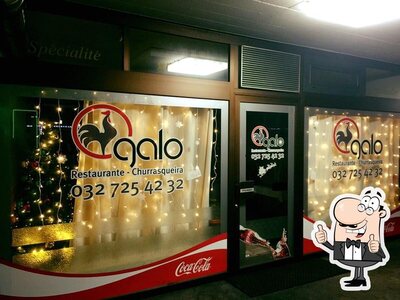photo de Galo