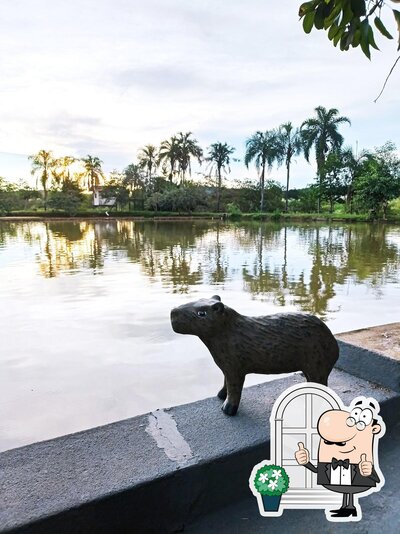 Desfrute da vista do exterior Pesque Pague Capivara