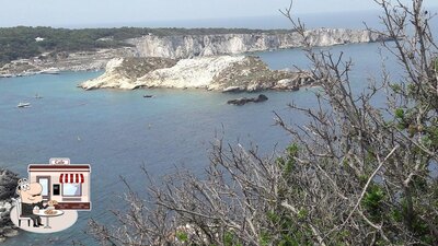 Guarda gli esterni di Torrefazione Grassi Caffè