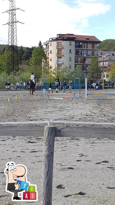 My bar foto
