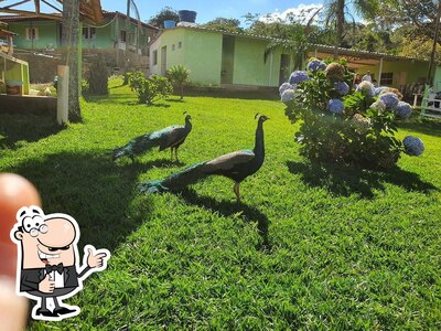 Pantanal Mineiro foto