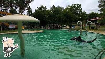 Veja imagens do exterior do Pesque e Pague Piamarta