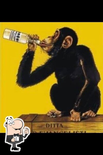 Bar Bianco foto