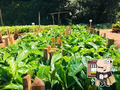 Veja imagens do exterior do Viveiro Arapoca