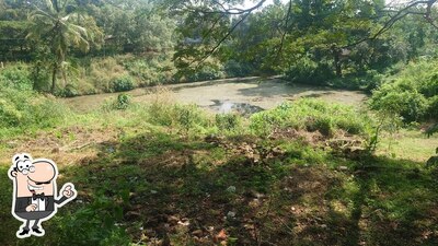 Check out how Althara Restaurant ആൽത്തറ looks outside