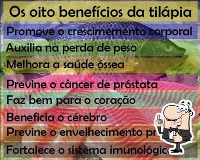 Tilápia do Colono foto