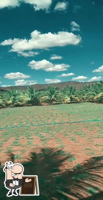 Veja a área externa do Chácara coqueiral