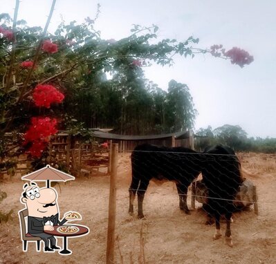 Veja imagens do exterior do BAR DO JAPA
