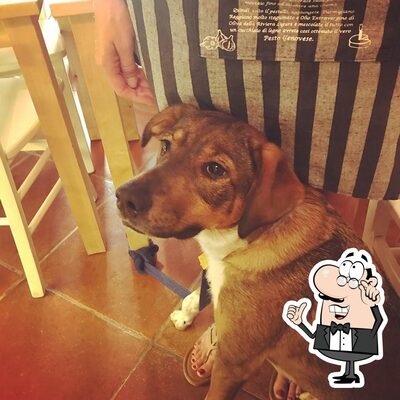 Siediti a un tavolo di Osteria Maite